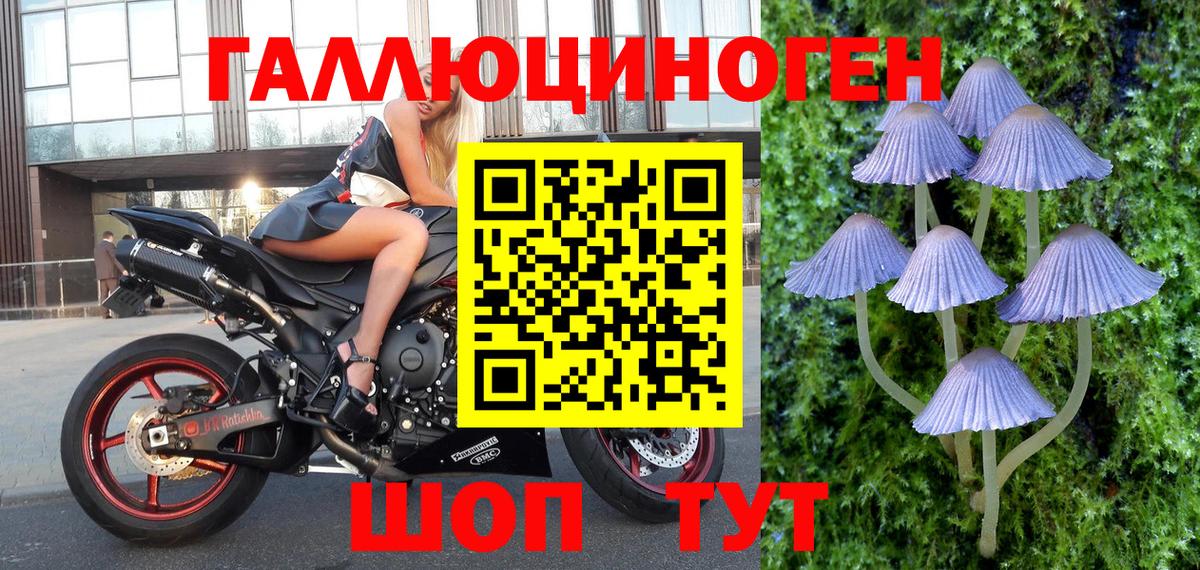 Когалым  Псилоцибиновые грибы Psilocybine cubensis  Вход с VPN 